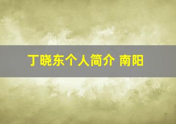 丁晓东个人简介 南阳